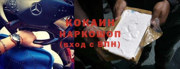 гидра Верея