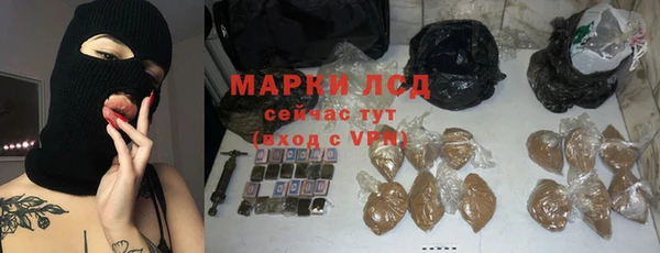 гидра Верея