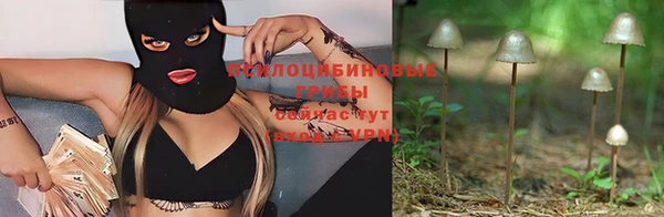винт Верхний Тагил