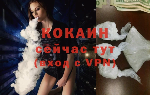 гидра Верея
