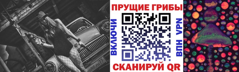 закладки  Таганрог  Галлюциногенные грибы Cubensis 